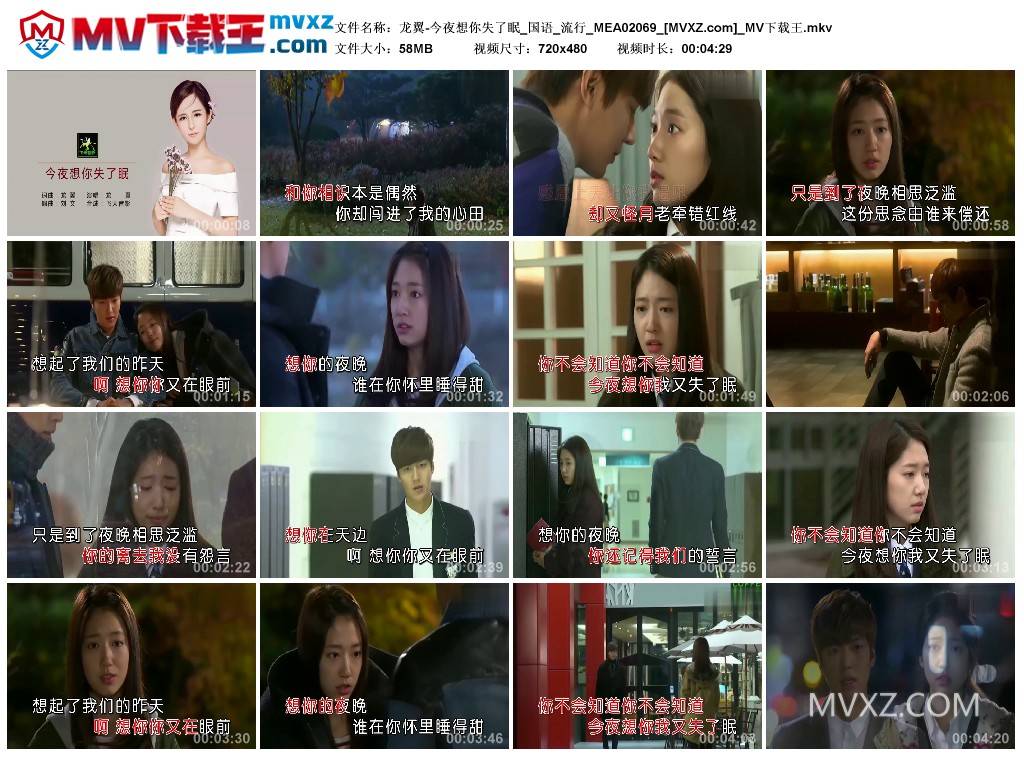 龙翼-今夜想你失了眠_国语_流行_MEA02069